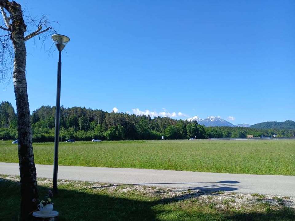 Schwalbennest 