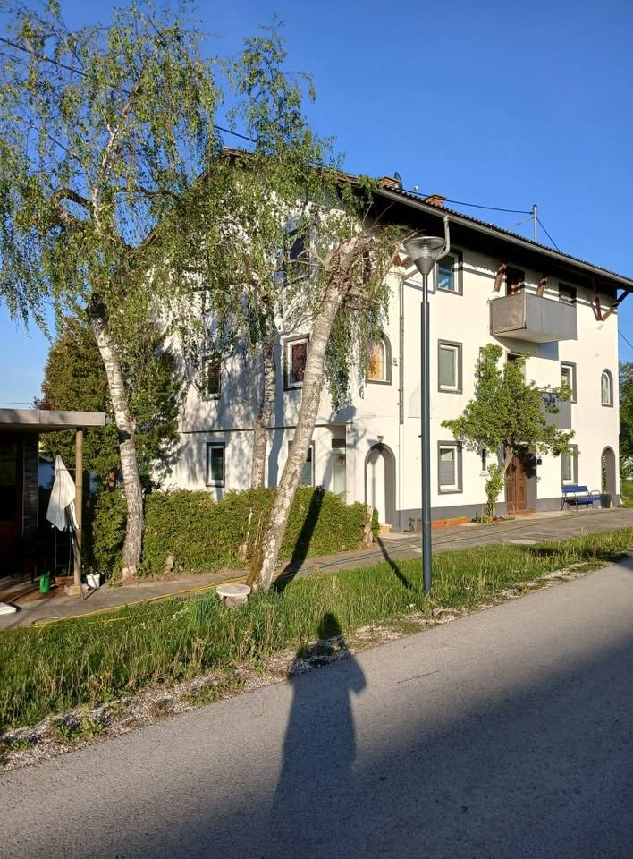 Schwalbennest Nr 4