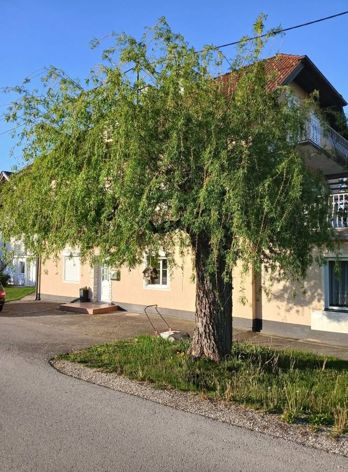 Schwalbennest 6